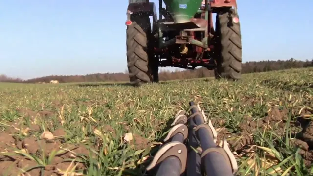 Blick aus Bodenhöhe auf einen jungen Bestand, im Hintergrund der Traktor mit Düngerstreuer